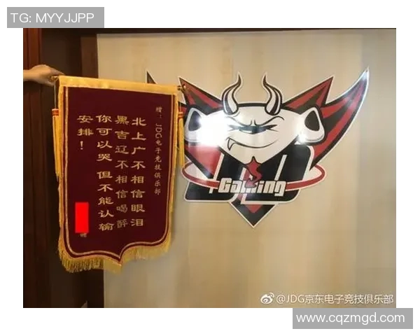 CSGO战术解析：深入探讨JDG战队的地图控制与战略布局