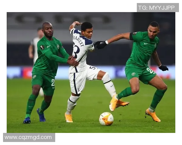 德国与芬兰在2000欧预赛中的激烈对决回顾与分析