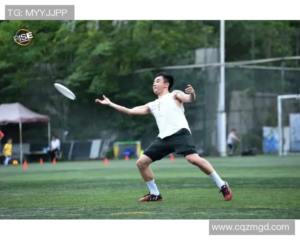 成都飞盘队运营分析：成功经验与面临挑战的全面探讨