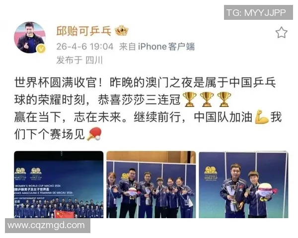 武汉乒乓球队在世界杯赛场上的拼搏故事与荣耀时刻
